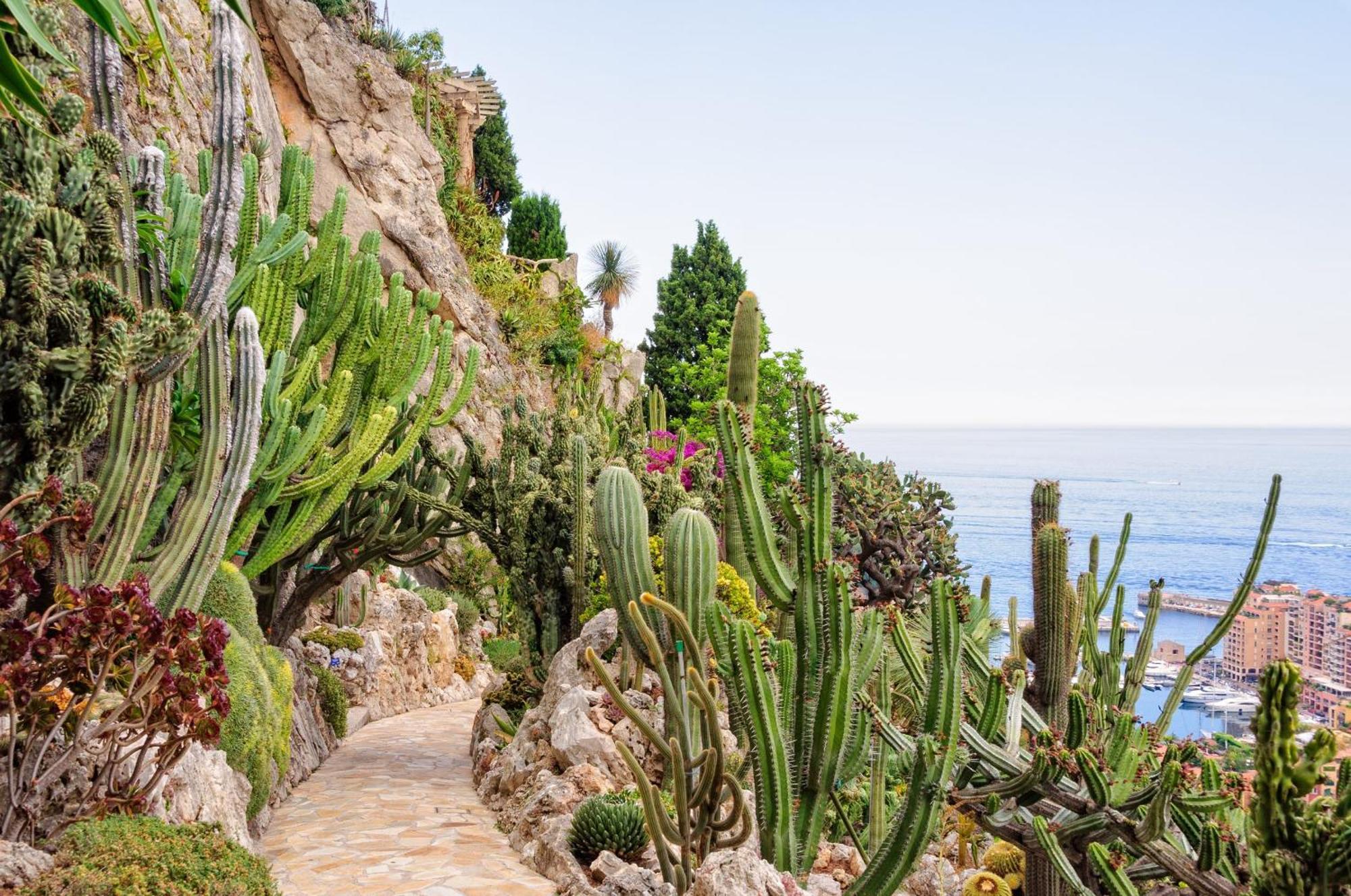 Sejour En Pleine Nature, Vue Imprenable, Jacuzzi Contes  المظهر الخارجي الصورة